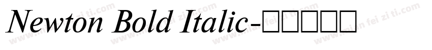 Newton Bold Italic字体转换